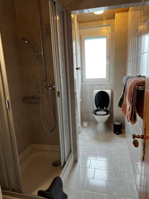 Charmante Und Zentrale Wohnung Am Weiherpark Арбон Екстериор снимка
